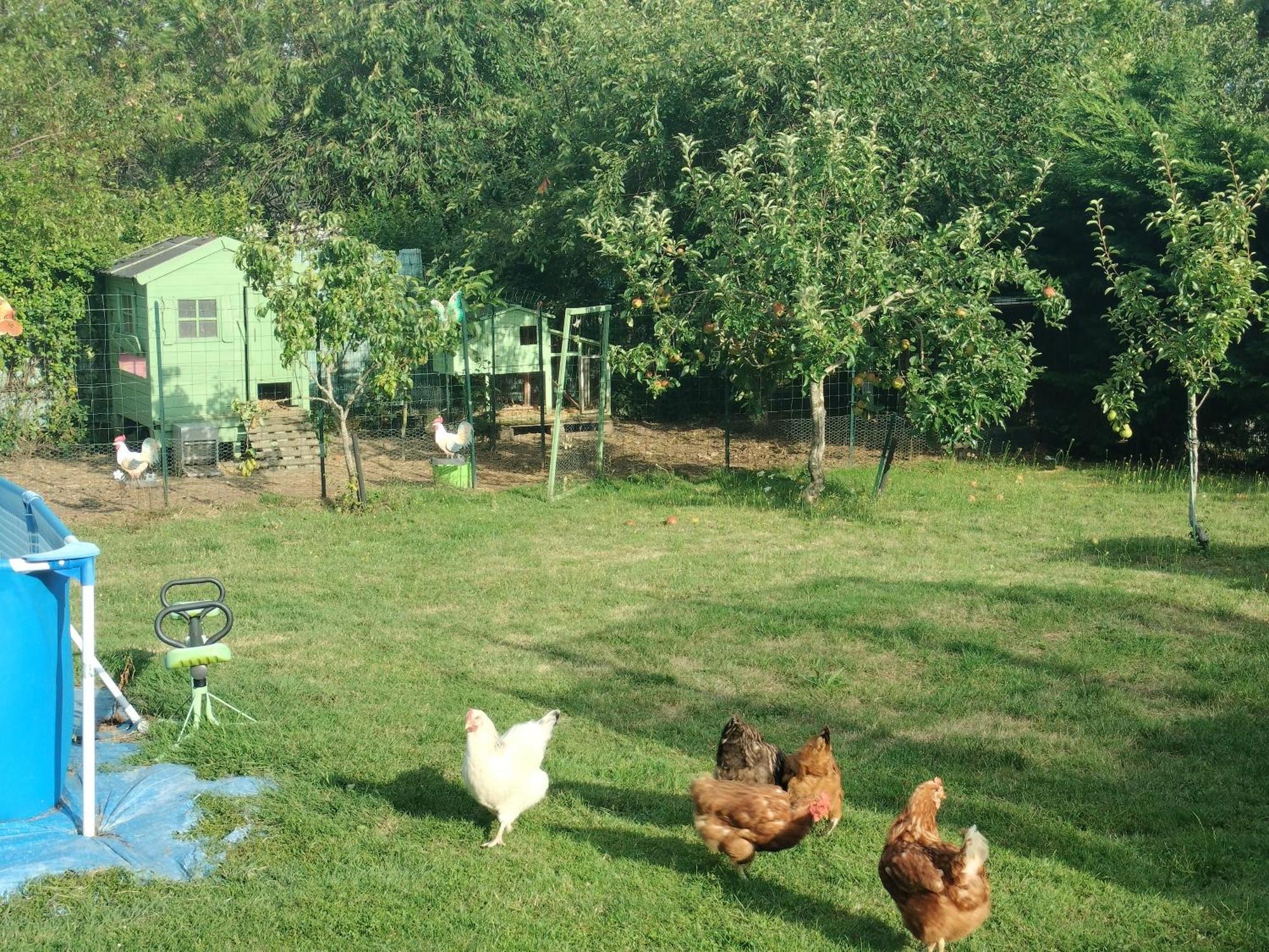 Un Studio Avec Une Entree Independante Thilouze Bagian luar foto